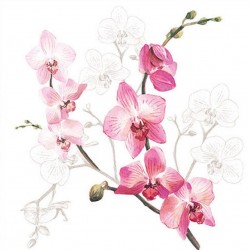 Serwetka papierowa - orchidea