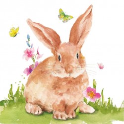 Serwetka papierowa - Mr Rabbit